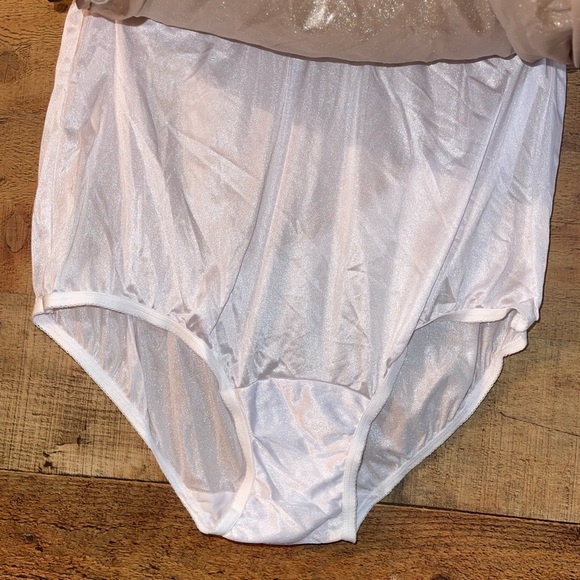 X3 Vanity Fair Nylon Panties - Picture 3 of 5